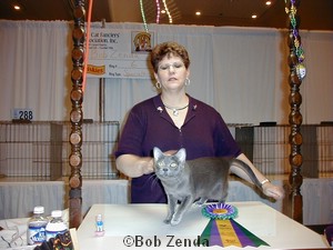 MowlSima'sDiva of XTC